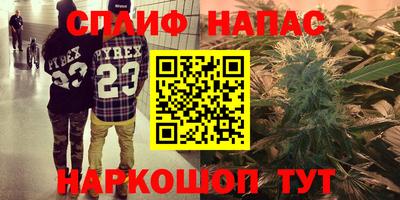 твердый Будённовск
