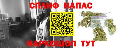 твердый Будённовск